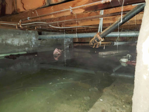 Best Water damage restoration near me  in Buckhall, VA