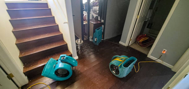 Best Ceiling water damage repair  in Buckhall, VA