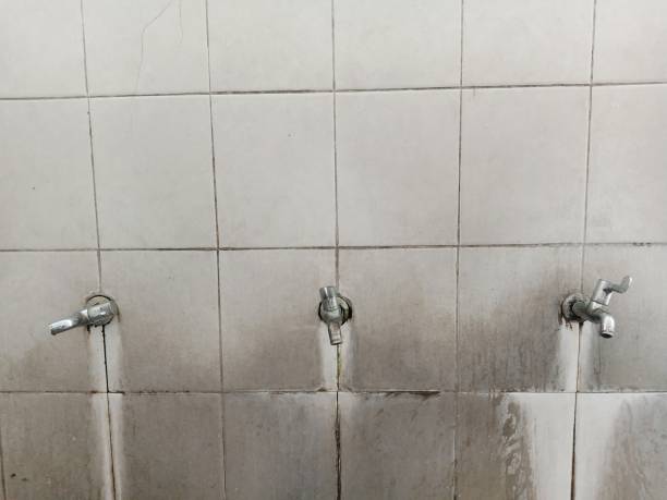 Best Fire Damage Restoration  in Buckhall, VA