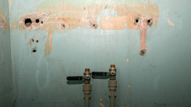 Best Water damage cleanup near me  in Buckhall, VA
